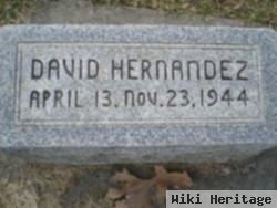 David Hernandez