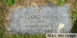 M Lloyd Brush