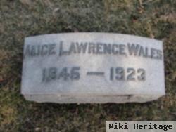 Alice Lawrence