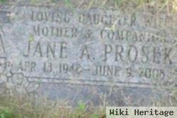 Jane Anne Liebst Prosek