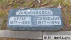 Effie Vankley Vanden Bosch