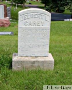 Delbert L Carey