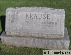 Carrie S Hetrick Krause