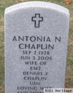 Antonia N Chaplin