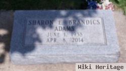 Sharon Elaine Brandics Adams