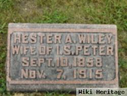 Hester A "hettie" Wiley Peter