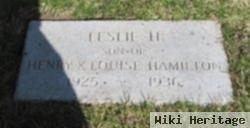 Leslie H Hamilton