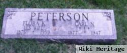 Carl N Peterson