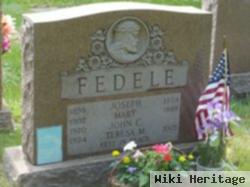 Teresa M Fedele