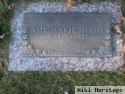 Amy M Fields