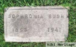 Sophronia Bush