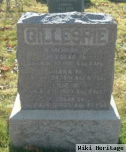 W Edgar Gillespie, Jr