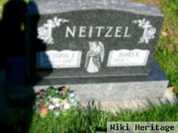 James E Neitzel