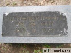 Lady L Buehler Hammett