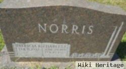 Charles E Norris