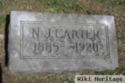 N. J. Carter