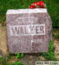 Walter Williams