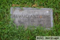 Edward Anthony "tony" Fleming