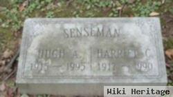 Hugh A. Senseman