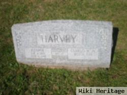 Eleanor Kurtz Harvey