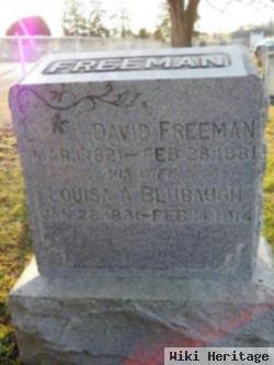 David Henry Freeman