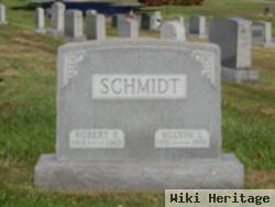 Robert F Schmidt