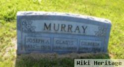 Joseph A Murray