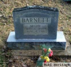 Nellie Barnett Barnett