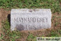 Maynard Grey