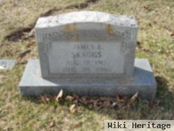 James E. Skaggs