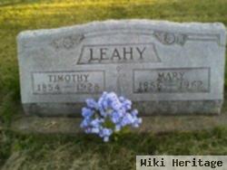 Timothy Nathan Leahy