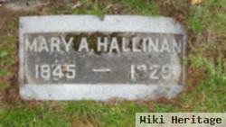 Mary Ann Hallihan