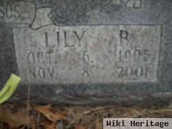 Lily B. Kizer