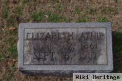 Elizabeth "liz" Robinson Atnip