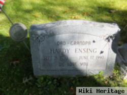 Hardy Ensing