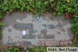 Callie Vincent Bean