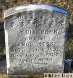 Lydia Bohr Hess