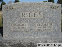 Elizabeth Rosti Riggs