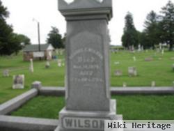 George W Wilson