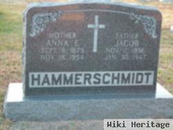 Anna Elizabeth Bieker Hammerschmidt