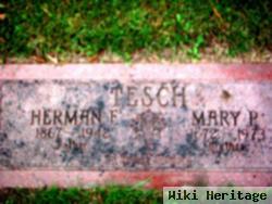 Herman F Tesch