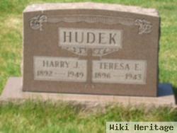 Teresa E. Hudek