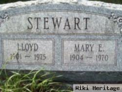 Mary E. Shoup Stewart