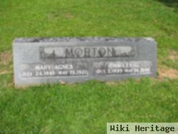 Mary Agnes Haynie Morton