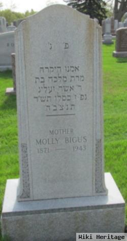 Molly Bigus