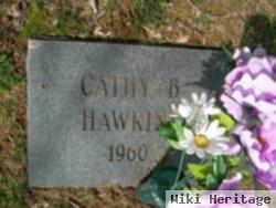 Cathy B Hawkins