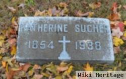 Katherine Meahan Sucher