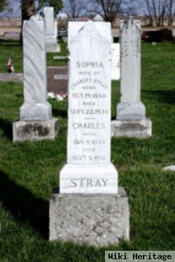 Charles Stray