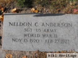 Sgt Neldon C Anderson