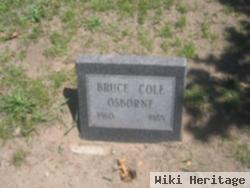 Bruce Cole Osborne